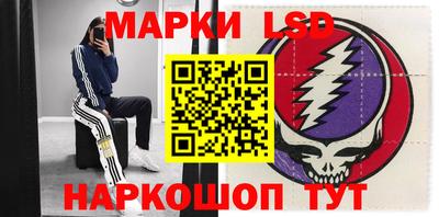 гидра Будённовск