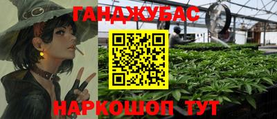 гидра Будённовск
