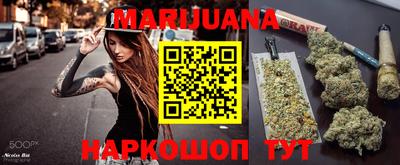 гидра Будённовск