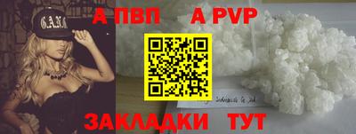 гидра Будённовск