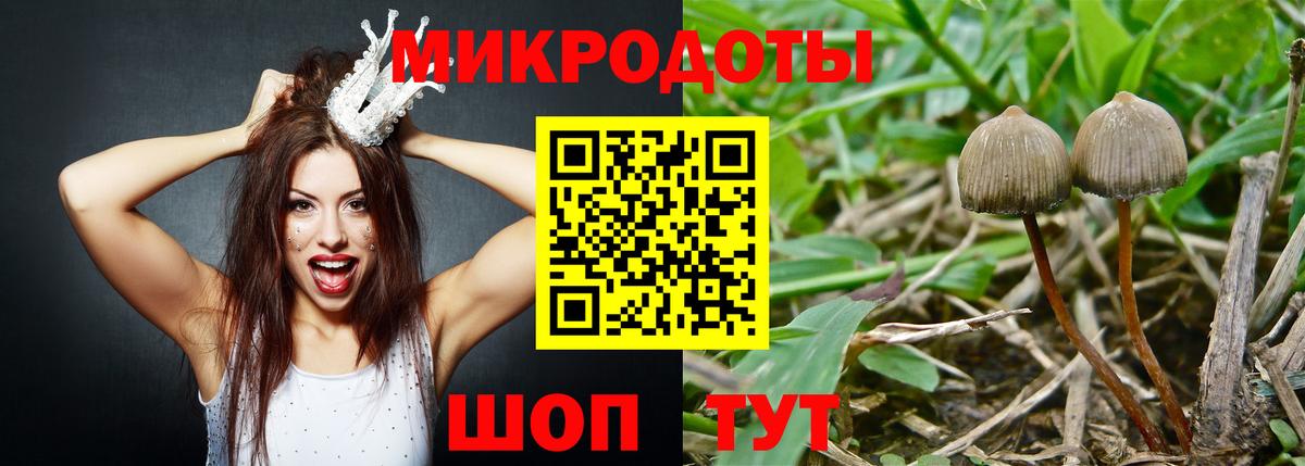 сколько стоит  Галлюциногенные грибы GOLDEN TEACHER  Вход с VPN  Мурино 